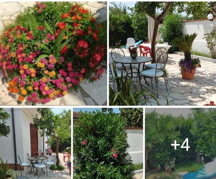 Villa Dafne Mare Fondi Sperlonga Exteriér fotografie
